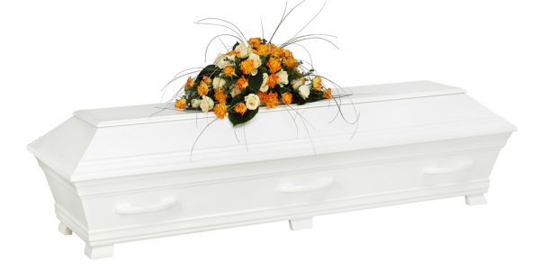 Alvoe Solidvit Stor 1